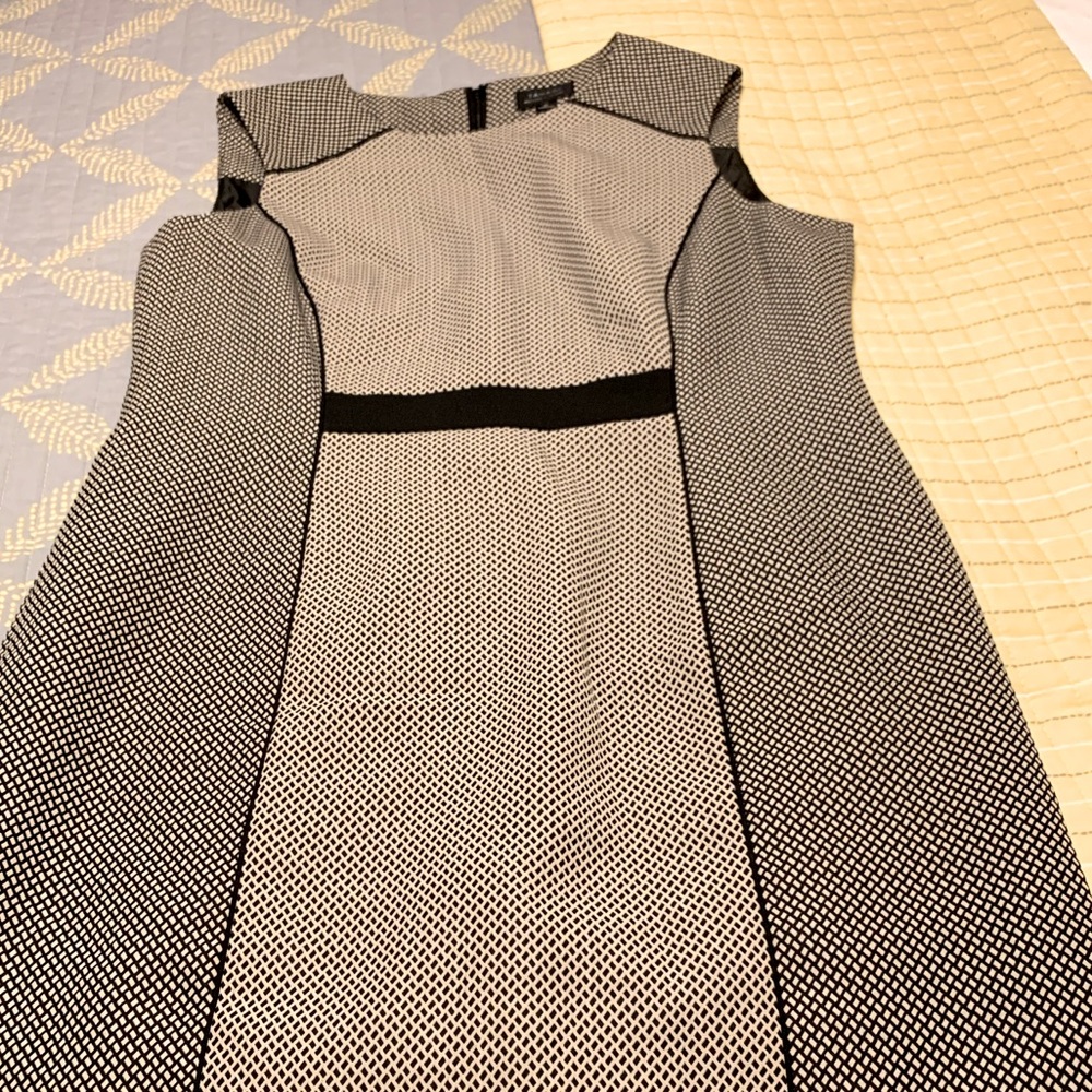 She Means Business Sheath Dress Tahari ASL